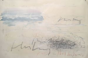 landscape studies - tender memories 70 x 100 cm mixed media on paper 2017