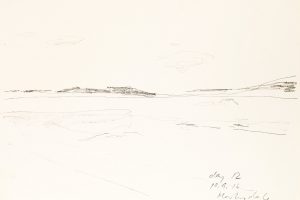day 12 Martinsdale, 21 x 29,5 cm, Kohle auf Papier