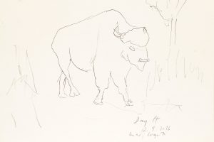 day 14 bison on the road, 21 x 29,5 cm, Kohle auf Papier