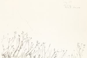 day 29 foggy Point Arena, 21 x 29,5 cm, Kohle auf Papier