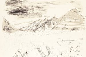 day 5 Bison Trail Nebraska, 21 x 29,5 cm, Kohle auf Papier