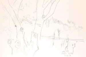 day 43 Nappa Valley, 21 x 29,5 cm, Kohle auf Papier
